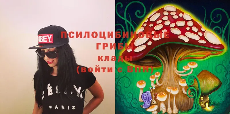 Псилоцибиновые грибы Magic Shrooms  Дагестанские Огни 